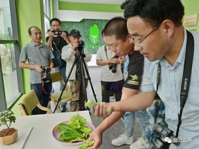 不可錯(cuò)過(guò)網(wǎng)眼看宿豫走在幸福的大道上網(wǎng)絡(luò)文化活動(dòng)